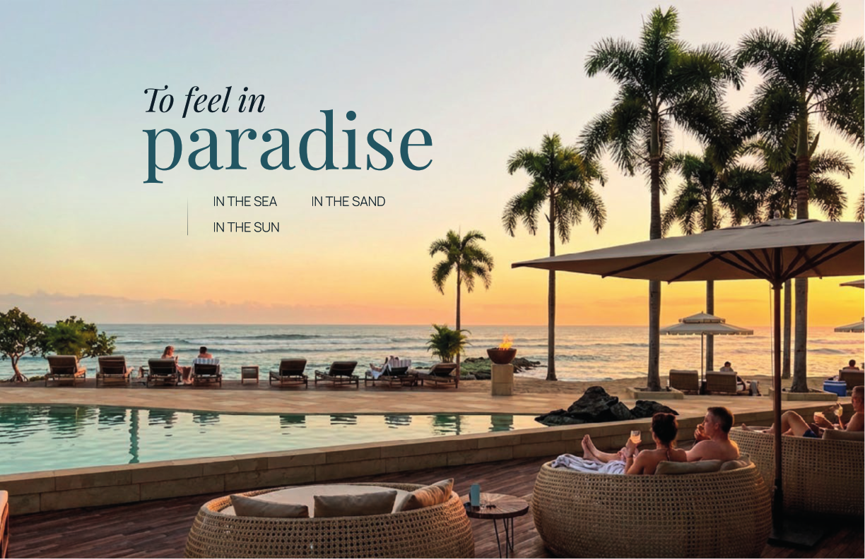 BROCHURE PUNTAMAREA - ISLA DE BARU_015